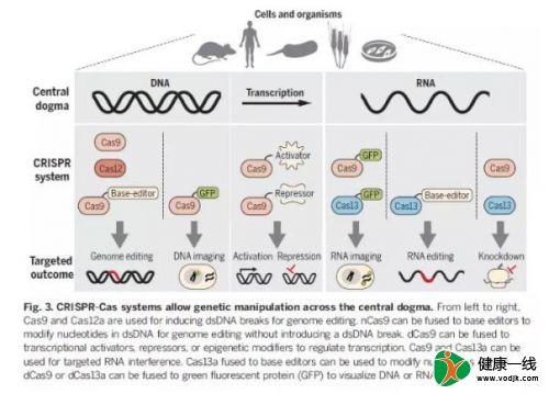 Science深度综述：CRISPR/Cas指引基因工程的未来