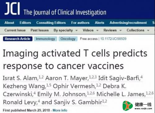 试金石！成像活化T细胞可快速判断癌症免疫疗法疗效