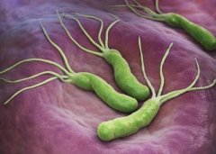 幽门螺杆菌的cagA蛋白质侵入胃细胞后 会和一种名