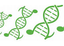 国内首个菊花脑基因组测序-纳米孔测序再发高分论文