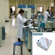 10酶联免疫试剂盒(ELISA)严格出厂检验
