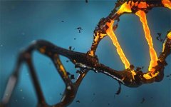 Nature子刊“大发现”：CRISPR可引发数百种“意外突变”！