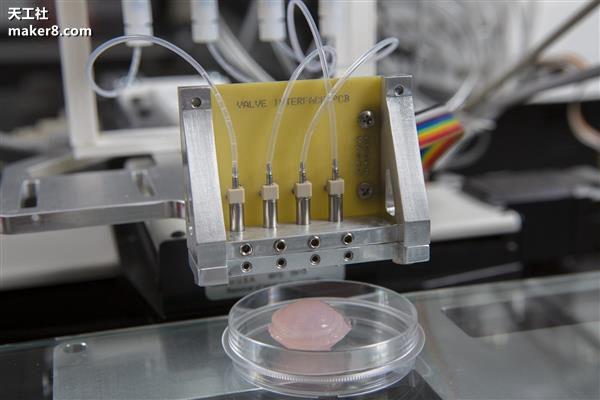 华裔科学家带队研究3D打印胰腺组织