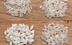 PNAS：日本发现能使米粒变大的基因 有望促进水稻增产282