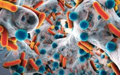 科学家利用皮肤的微生物组来为患有湿疹的儿童制定健康指数