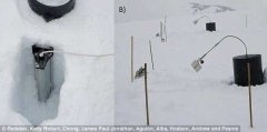 科学家首次在极地冰雪中观测到活细菌