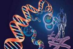 古DNA测序带来的突破和限制