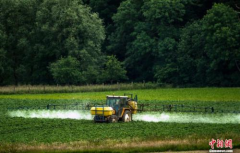 欧时：欧盟放行孟山都争议除草剂 许可延期5年