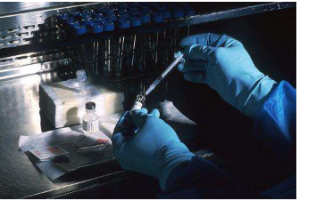 阻断网关突变可以防止脊髓灰质炎疫苗重新进化