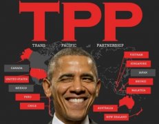 TPP谈判与世界杯2022预选赛积分榜
专利