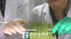 全球首次！浙江省水稻专家利用基因编辑成功克