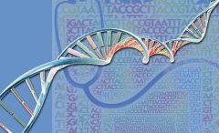 基因组图谱表明广泛的免疫细胞参与多发性硬化