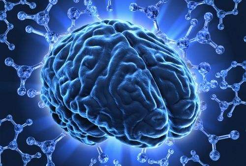 人脑比人工智能聪明1亿倍