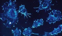 Oncotarget：新型疗法或能诱发胰腺癌细胞自我毁灭
