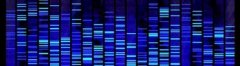 2016年基因检测行业分析