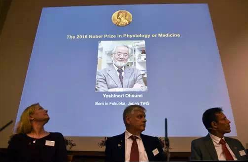 科学界和主流媒体评述2016年诺贝尔医学奖及成就