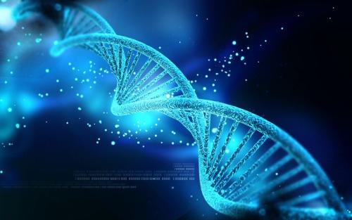 最新的调查表明基因与唐氏综合症受损的记忆有