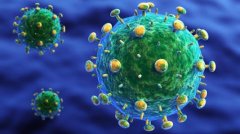 FSU研究辅助工具抗击艾滋病毒与乙型肝炎