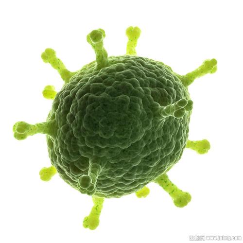 细胞穿梭如何帮助HIV