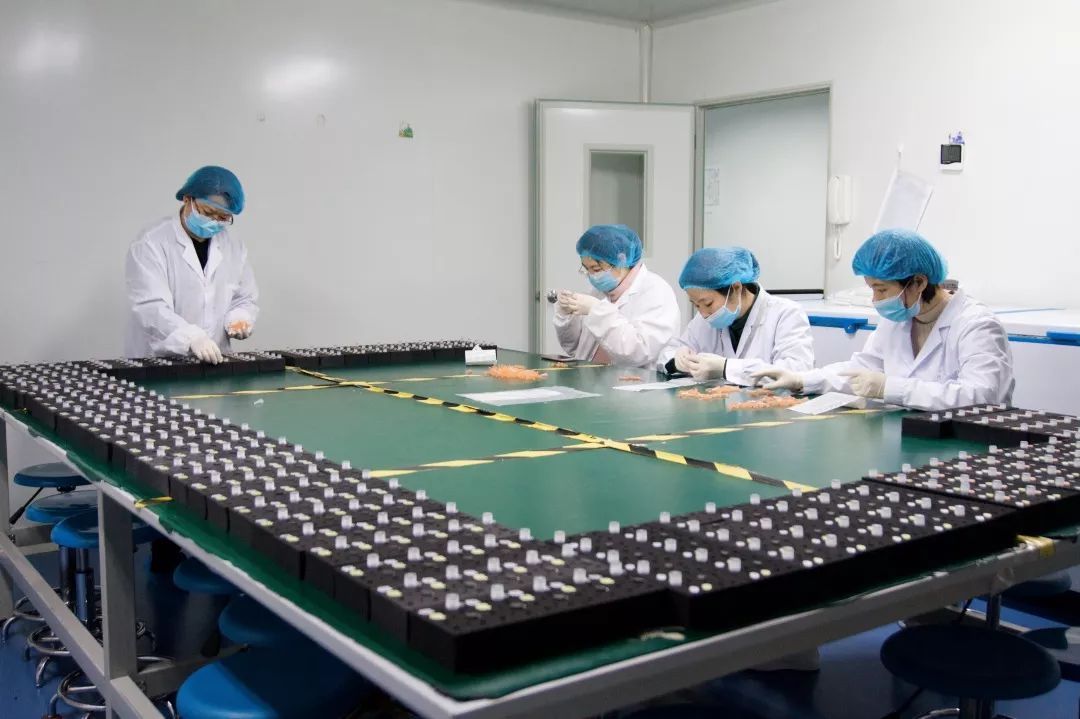 为这家西安公司点赞，每天生产1万人份“检测试剂”