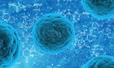 NatCellBiol：干细胞促进再生医学发展