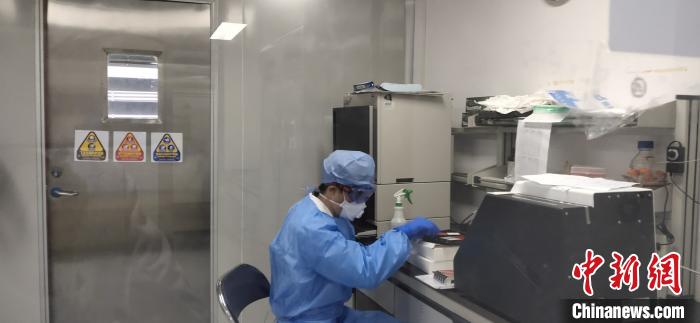 深圳大学病毒研究组研究人员用新研制成功的试剂盒进行抗体检测。　深大供图 摄