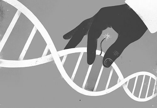 生物学新利器是把双刃剑——全新基因编辑技术引发研究领域巨变