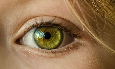 SciRep:潜在疗法可用于治疗严重干眼病
