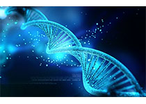 靶向KRAS基因Oncogenuity携手哥伦比亚大学开发寡核苷酸技术