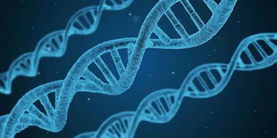 MolTher：研究揭示基因治疗AAV载体进入细胞的机制