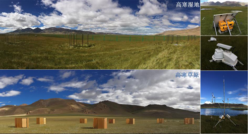 成都山地所在青藏高原冻融生态研究中取得系列