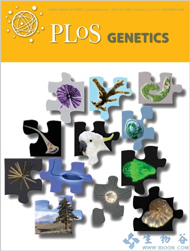 PLOSGenet：单分子测序技术助力原核生物DNA甲基化研究
