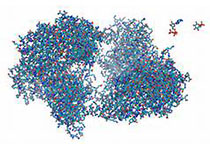 基于酶单分子纳米胶囊技术的生物传感器研究获进展