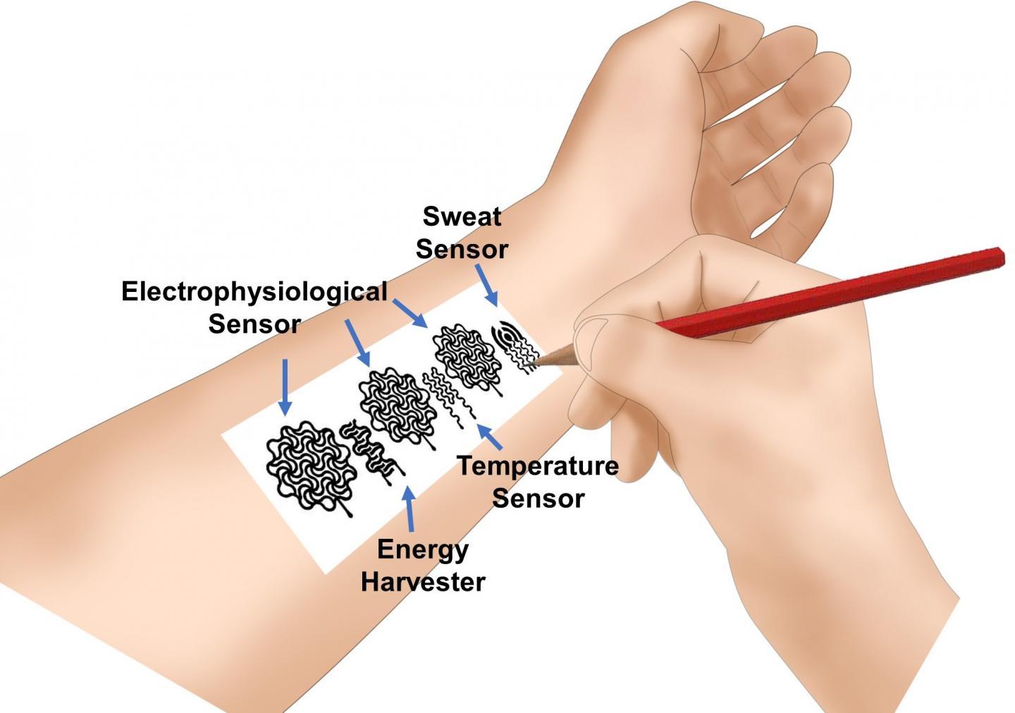 MU工程师发现使用铅笔在人体皮肤上绘制生物电子