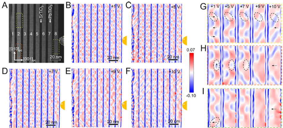 原位电镜技术实现极性拓扑相变的原子尺度表征与调控