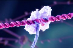 “基因书写”能破CRISPR局限？这家新锐或将改写