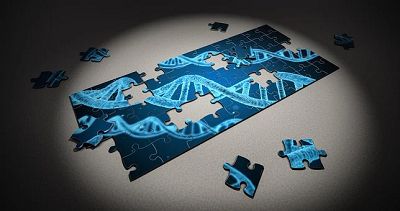 CellRep:新型基因影响癌症治疗效果