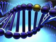 PNAS：基因组中DNA移动元件的插入或可使人类获益