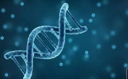 开发了新的生物发光报告基因以追踪DNA双链断裂