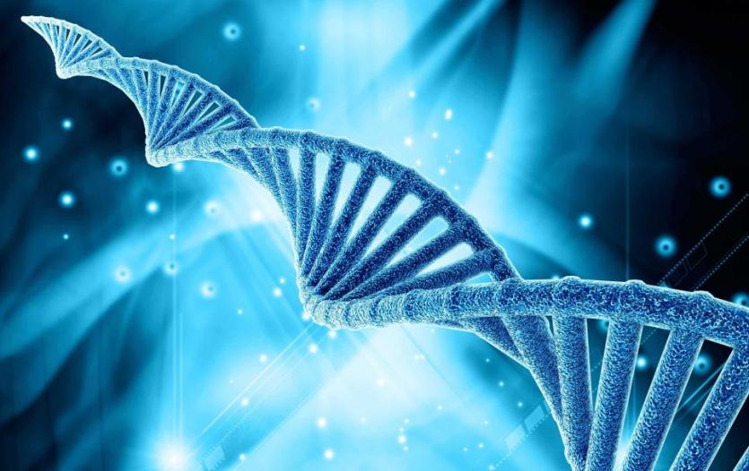 基因检测实现医疗突破 新生植发TDDP植养护体实现患者毛发新生梦