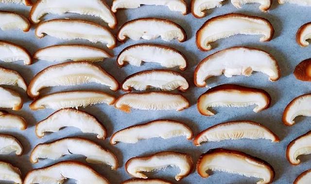 香菇粉：香菇富含维生素和蛋白质，能促进食欲