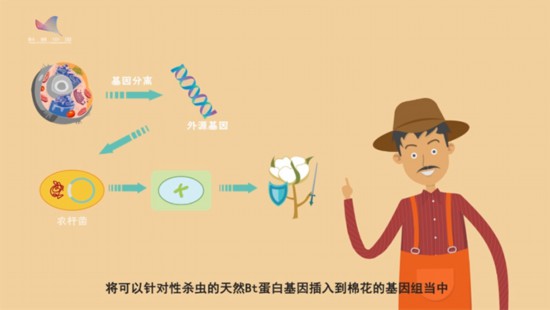 基因故事动画⑨基因工程：“小工程” 带来“大惊喜”