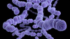 研究人员发现肺炎链球菌和定植和疾病过程中宿主基因表达的地图集