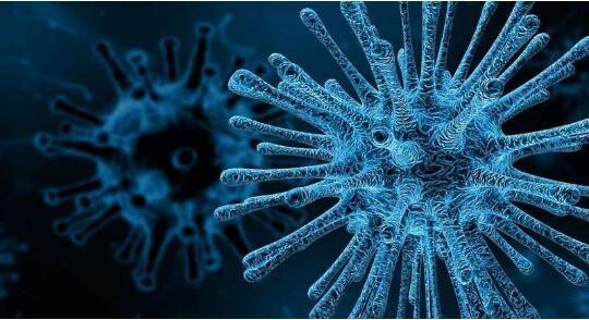 Immunity：揭秘肺部中巨噬细胞发育的分子机制及多样性奥秘