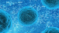 DevCell：阻断细胞自噬可用于治疗癌症