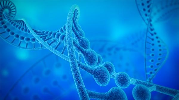 没了它真不行：北大团队发现DNA同源重组过程的关键角色