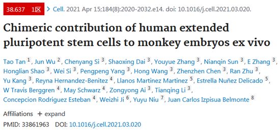 Cell：重大进展！中美科学家成功在体外利用构建出人-猴嵌合胚胎