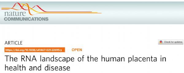 Narure子刊：人类胎盘在健康和疾病中的RNA景观