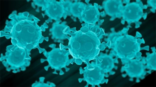 拥有“姓名”！世界卫生组织正式命名新冠病毒肺炎为COVID-19