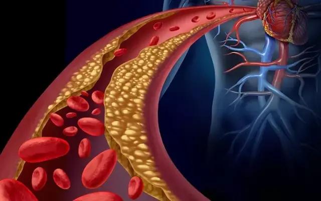 肽是“细胞专用营养”，血肽和心肌肽，为心脑